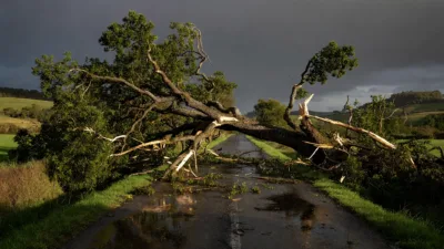 Haute-Vienne : une femme de 30 ans tuée par la chute d'un arbre lors des orages