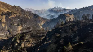 Hautes-Alpes : le préfet remercie les collectivités pour leur aide aux pompiers