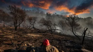 Hérault : un sapeur-pompier légèrement brûlé lors de l'incendie de Carlencas-et-Levas