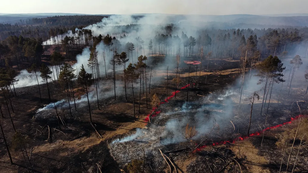 Houeillès : 193 hectares parcourus par le feu, deux routes départementales coupées