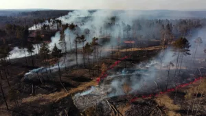 Houeillès : 193 hectares parcourus par le feu, deux routes départementales coupées