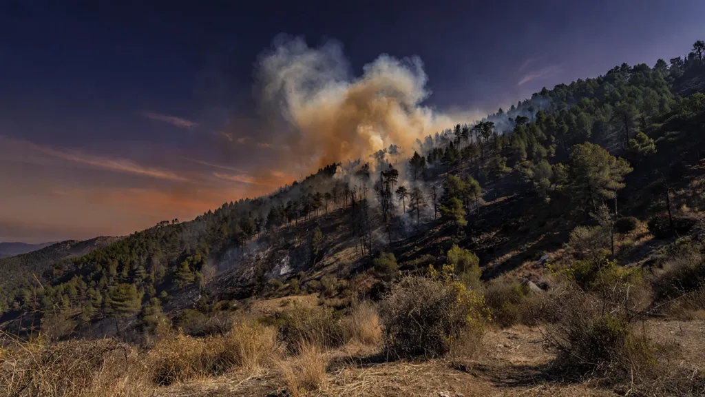 Incendie à Die : plus de 1 000 hectares brûlés, 200 pompiers en renfort