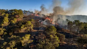 Incendie à Die : plus de 100 hectares brûlés, le massif de Justin fermé