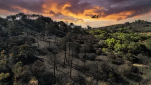 Incendie à Fréjus : 30 hectares fixés depuis mercredi, surveillance active ce jeudi