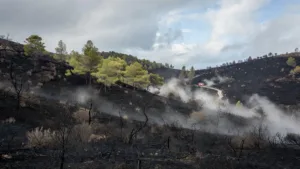 Incendie à Lançon-de-Provence : 275 hectares brûlés, le feu fixé mais les pompiers sur le qui-vive