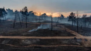 Incendie à Lançon-de-Provence : le feu fixé après 275 hectares, les habitants regagnent leur domicile