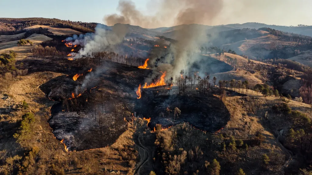 Incendie à Trévillach : 220 hectares parcourus samedi soir, le bilan atteint 1 000 hectares ce dimanche