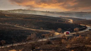 Incendie au Poiré-sur-Vie : 22 hectares brûlés et 45 habitants évacués