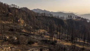 Incendie dans le Diois : évacuations levées à Die et Solaure-en-Diois