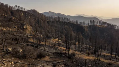 Incendie dans le Diois : évacuations levées à Die et Solaure-en-Diois