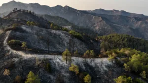 Incendie dans le Diois : le feu fixé à Montmaur, 570 secouristes mobilisés