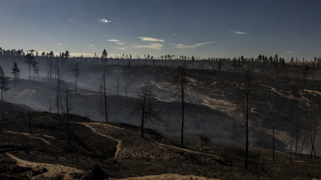 Incendie dans le Minervois : 600 hectares brûlés en deux heures, le feu désormais fixé