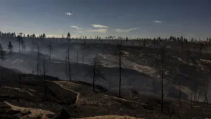 Incendie dans le Minervois : 600 hectares brûlés en deux heures, le feu désormais fixé