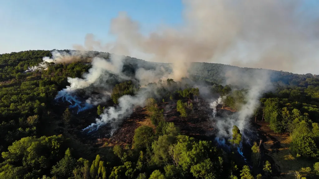 Incendie dans le Morvan : 60 hectares détruits, le feu toujours actif