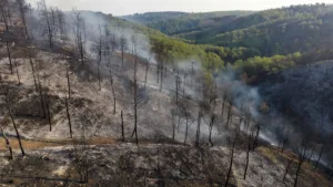 Incendie de Couchey : appel à témoins lancé, piste criminelle explorée