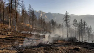 Incendie de Die : les pompiers de la Nièvre toujours mobilisés ce mardi