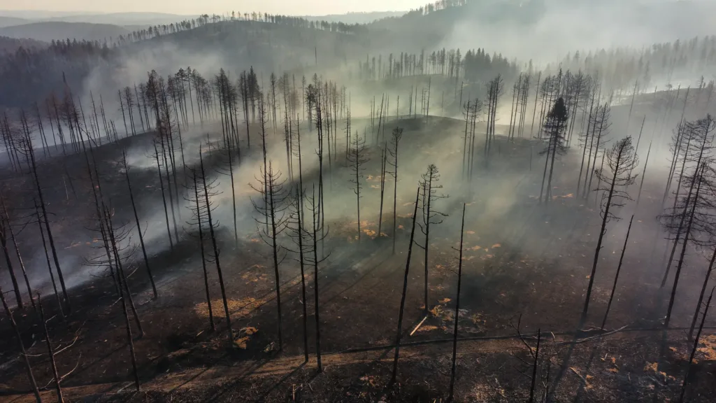 Incendie de Fontainebleau : un pompier volontaire avoue avoir allumé le feu