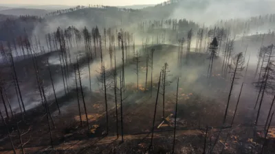 Incendie de Fontainebleau : un pompier volontaire avoue avoir allumé le feu