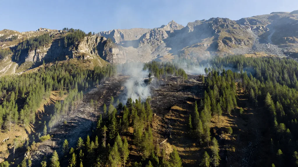 Incendie du Bois Noir : 160 hectares brûlés, 79 pompiers mobilisés