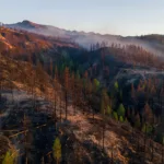 Incendie du Bois Noir : le feu désormais fixé selon le préfet des Hautes-Alpes