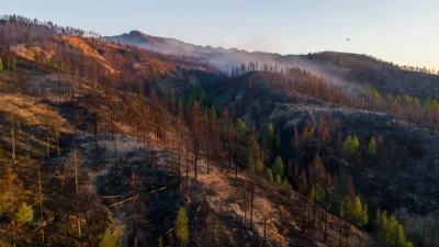 Incendie du Bois Noir : le feu désormais fixé selon le préfet des Hautes-Alpes