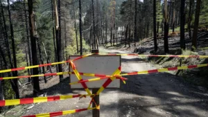 Incendie du massif de Justin : l&rsquo;évacuation de Barsac levée ce lundi