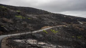 Incendie du Minervois fixé : 950 hectares brûlés, le ministre Nuñez sur place à Pouzols-Minervois