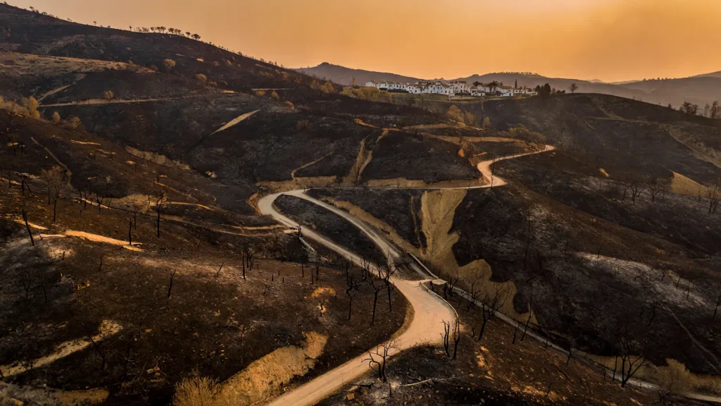 Incendie en Andalousie : 13 morts dont une Française, 6600 hectares ravagés