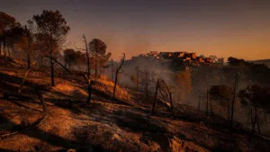 Incendie en Espagne : un Belge de 63 ans parmi les 12 morts
