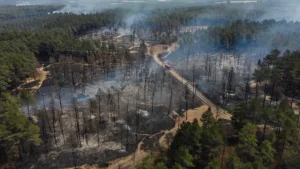 Incendie en Gironde : les marins-pompiers de Marseille en renfort