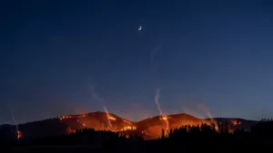 Incendie entre Haute-Loire et Lozère : le feu fixé après 256 hectares