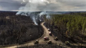 Incendie maîtrisé à Fréjus : 30 hectares brûlés, 2 200 personnes évacuées