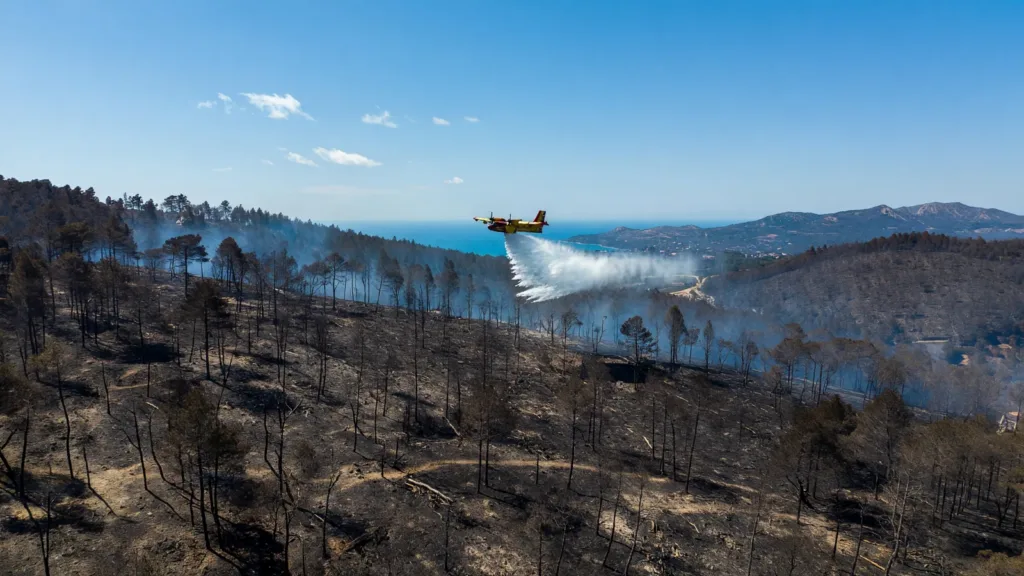 Incendie maîtrisé à Fréjus : les 2 200 évacués ont regagné les campings, bilan de 30 hectares détruits
