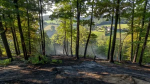 Incendie maîtrisé au Puy de Gaudy : 1 000 m² de forêt touchés en Creuse