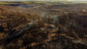 Incendie maîtrisé aux Hauts-d'Anjou : 300 ha brûlés, 120 pompiers mobilisés