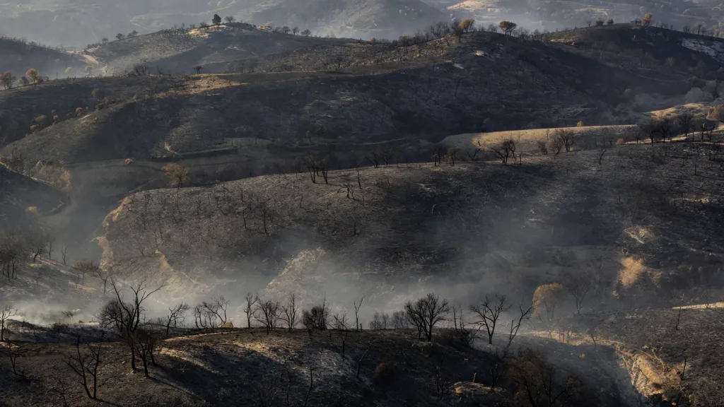 Incendie meurtrier en Andalousie : 13 morts, une enquête ouverte