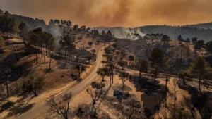 Incendie meurtrier près d&rsquo;Almería : au moins 12 morts et 23 disparus