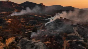 Incendie mortel en Andalousie : 12 morts dont des étrangers