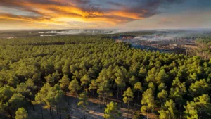 Incendies : 37 pompiers de la Manche envoyés en renfort en Gironde