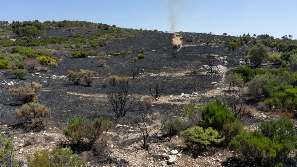 Incendies à Rognac et Lançon-de-Provence : 310 hectares brûlés, circulation perturbée