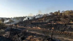 Incendies dans les Bouches-du-Rhône : plus de 310 hectares brûlés, le trafic SNCF perturbé
