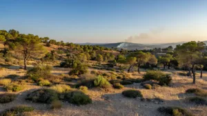 Incendies en Ardèche : face à la multiplication des départs de feux, le préfet appelle à la vigilance