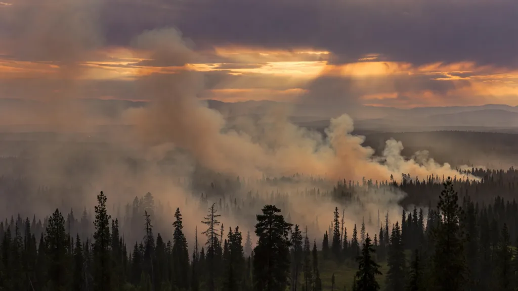 Incendies en Colombie-Britannique : Trump menace le Canada de tarifs douaniers