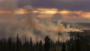 Incendies en Colombie-Britannique : Trump menace le Canada de tarifs douaniers
