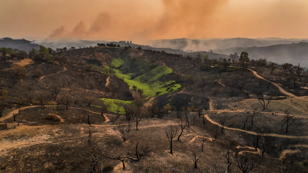 Incendies en Espagne : trois Belges probablement parmi les victimes
