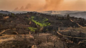 Incendies en Espagne : trois Belges probablement parmi les victimes