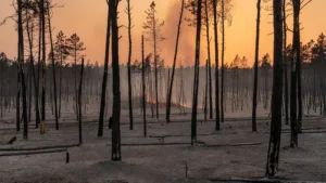 Incendies en Gironde : 34 pompiers d&rsquo;Ille-et-Vilaine en renfort