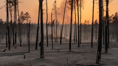 Incendies en Gironde : 34 pompiers d&rsquo;Ille-et-Vilaine en renfort