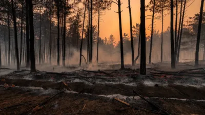 Incendies en Gironde : 42 000 ha brûlés, le feu stabilisé mais sous surveillance