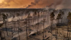Incendies en Gironde : 42 000 hectares brûlés, 220 000 personnes évacuées